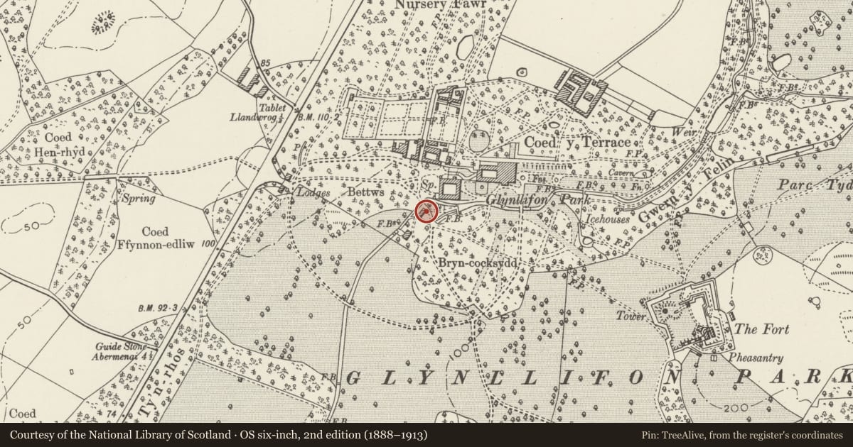 Ordnance Survey six-inch map, 2nd edition (1888–1913) covering the location of Watermill to south-west of Stables including archway into mill yard and attached L-shaped range, Llandwrog, Gwynedd, with a pin at the register's coordinates