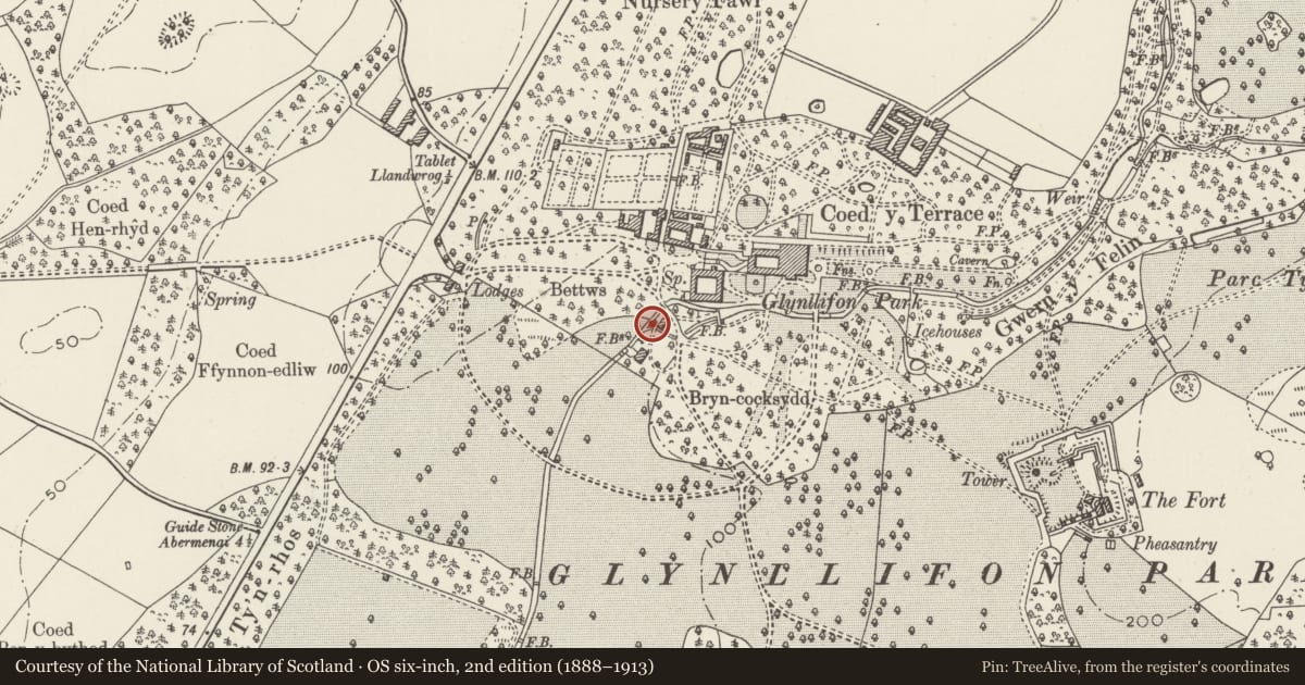 Ordnance Survey six-inch map, 2nd edition (1888–1913) covering the location of Stone Bridge to west of Watermill, Llandwrog, Gwynedd, with a pin at the register's coordinates
