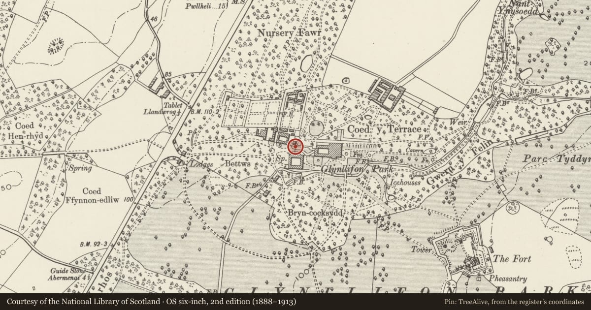Ordnance Survey six-inch map, 2nd edition (1888–1913) covering the location of L-shaped screen wall adjoining stables and workshops at west end of service drive to kitchen court, Llandwrog, Gwynedd, with a pin at the register's coordinates
