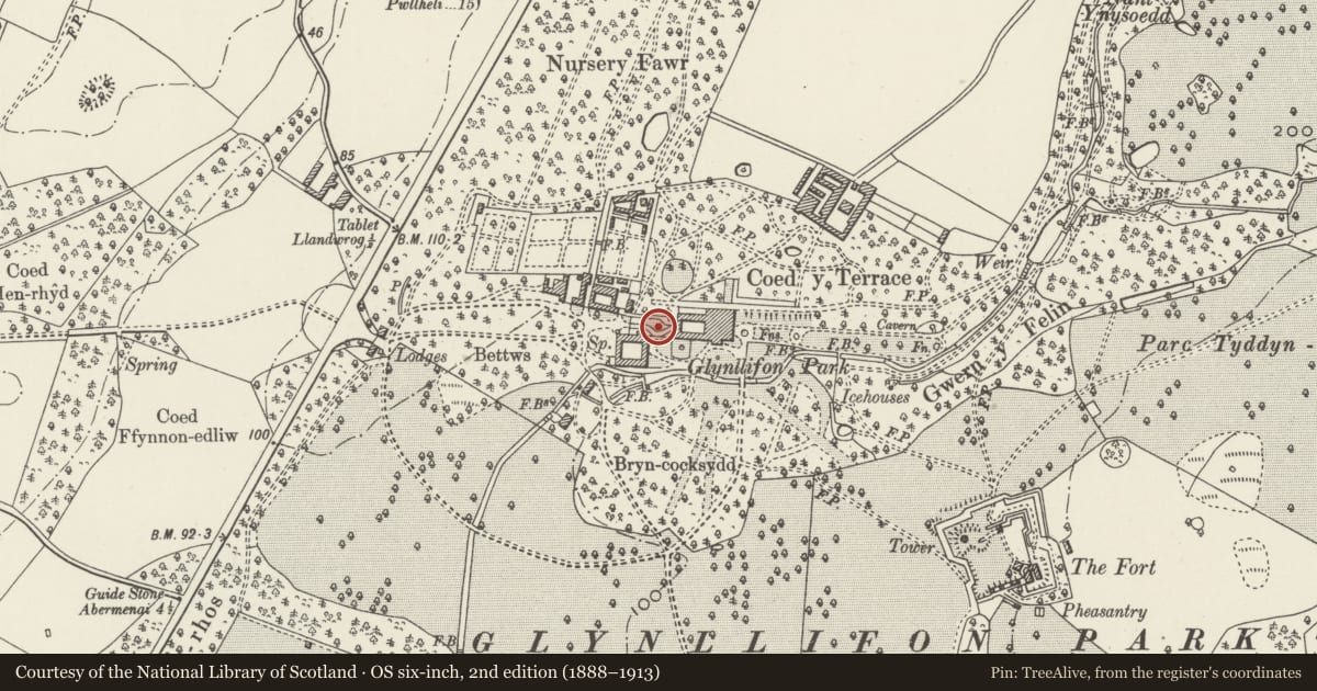 Ordnance Survey six-inch map, 2nd edition (1888–1913) covering the location of Rubble-walled rear service drive to west of Glynllifon House, Llandwrog, Gwynedd, with a pin at the register's coordinates
