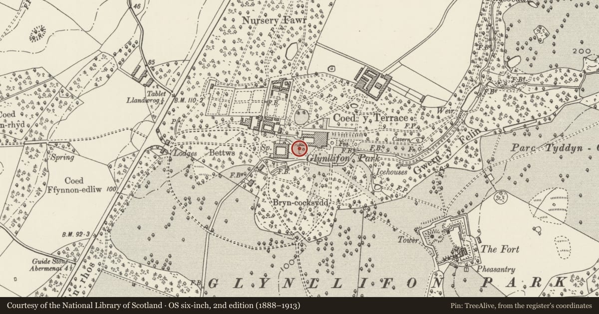 Ordnance Survey six-inch map, 2nd edition (1888–1913) covering the location of Fountain Pool to east of Stable Courtyard, Llandwrog, Gwynedd, with a pin at the register's coordinates