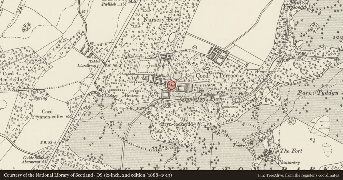 Ordnance Survey six-inch map, 2nd edition (1888–1913) covering the location of Rubble-walled trackway to north of service drive to west of Glynllifon House, Llandwrog, Gwynedd, with a pin at the register's coordinates