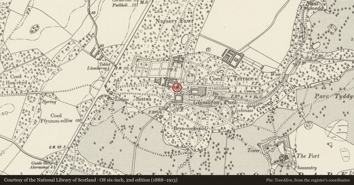 Ordnance Survey six-inch map, 2nd edition (1888–1913) covering the location of Inner arched entrance to courtyard between Palm House and Workshops, Llandwrog, Gwynedd, with a pin at the register's coordinates