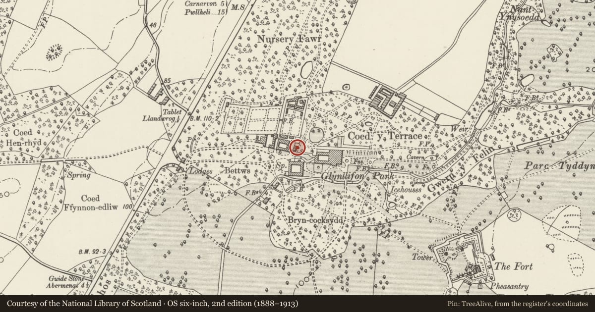 Ordnance Survey six-inch map, 2nd edition (1888–1913) covering the location of Palm House including former Eagle House, Llandwrog, Gwynedd, with a pin at the register's coordinates
