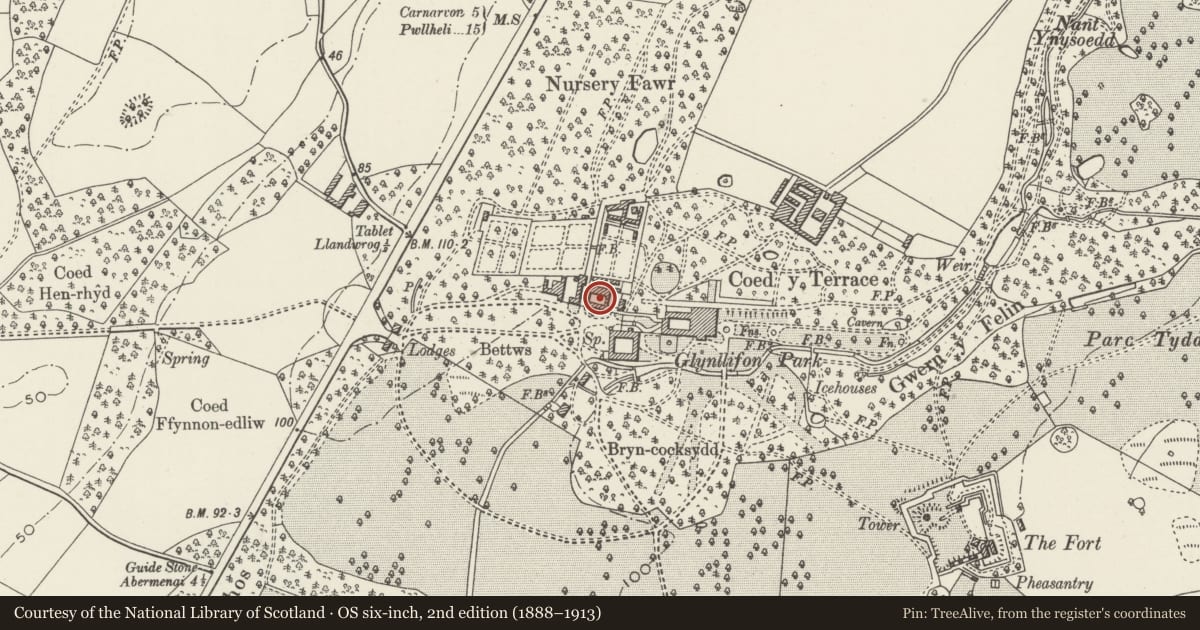 Ordnance Survey six-inch map, 2nd edition (1888–1913) covering the location of Machinery Workshops to north-west of Stables at Glynllifon, Llandwrog, Gwynedd, with a pin at the register's coordinates