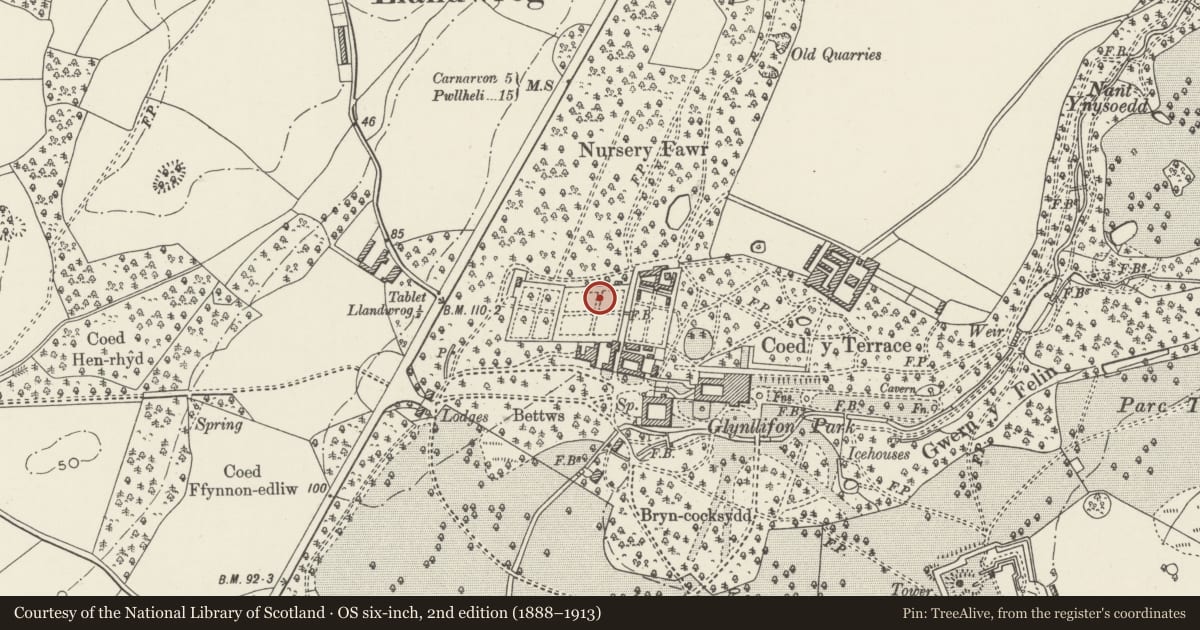 Ordnance Survey six-inch map, 2nd edition (1888–1913) covering the location of Western pair of walled former Kitchen Gardens at Glynllifon, Llandwrog, Gwynedd, with a pin at the register's coordinates