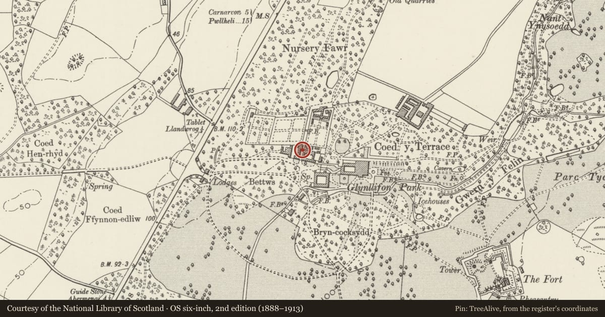 Ordnance Survey six-inch map, 2nd edition (1888–1913) covering the location of Workshops, Llandwrog, Gwynedd, with a pin at the register's coordinates