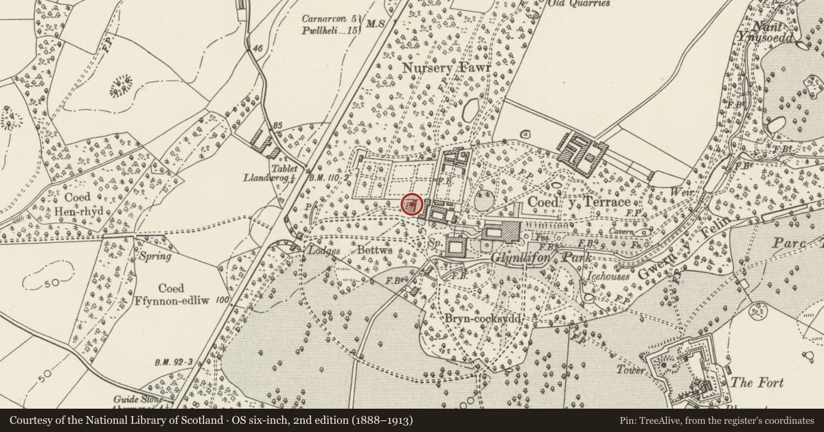 Ordnance Survey six-inch map, 2nd edition (1888–1913) covering the location of Engine House and Chimney adjoining Workshops, Llandwrog, Gwynedd, with a pin at the register's coordinates
