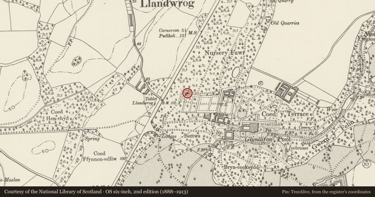 Ordnance Survey six-inch map, 2nd edition (1888–1913) covering the location of Ty Rardd, Llandwrog, Gwynedd, with a pin at the register's coordinates