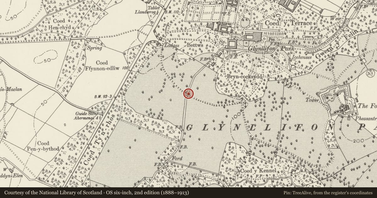 Ordnance Survey six-inch map, 2nd edition (1888–1913) covering the location of Bridge carrying former west drive over Afon Llifon, Llandwrog, Gwynedd, with a pin at the register's coordinates