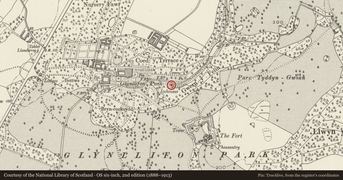 Ordnance Survey six-inch map, 2nd edition (1888–1913) covering the location of The Mill Folly Grotto including stone bridge, south of the Afon Llifon, Llandwrog, Gwynedd, with a pin at the register's coordinates