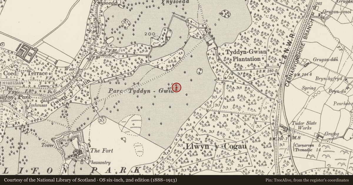 Ordnance Survey six-inch map, 2nd edition (1888–1913) covering the location of Former reservoir on hill to north-east of Fort Williamsburg, Llandwrog, Gwynedd, with a pin at the register's coordinates