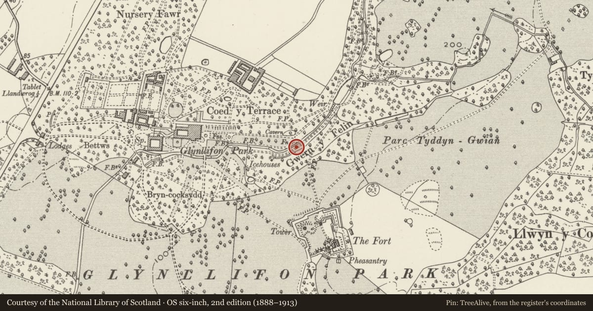 Ordnance Survey six-inch map, 2nd edition (1888–1913) covering the location of Cascade at Glynllifon, Llandwrog, Gwynedd, with a pin at the register's coordinates