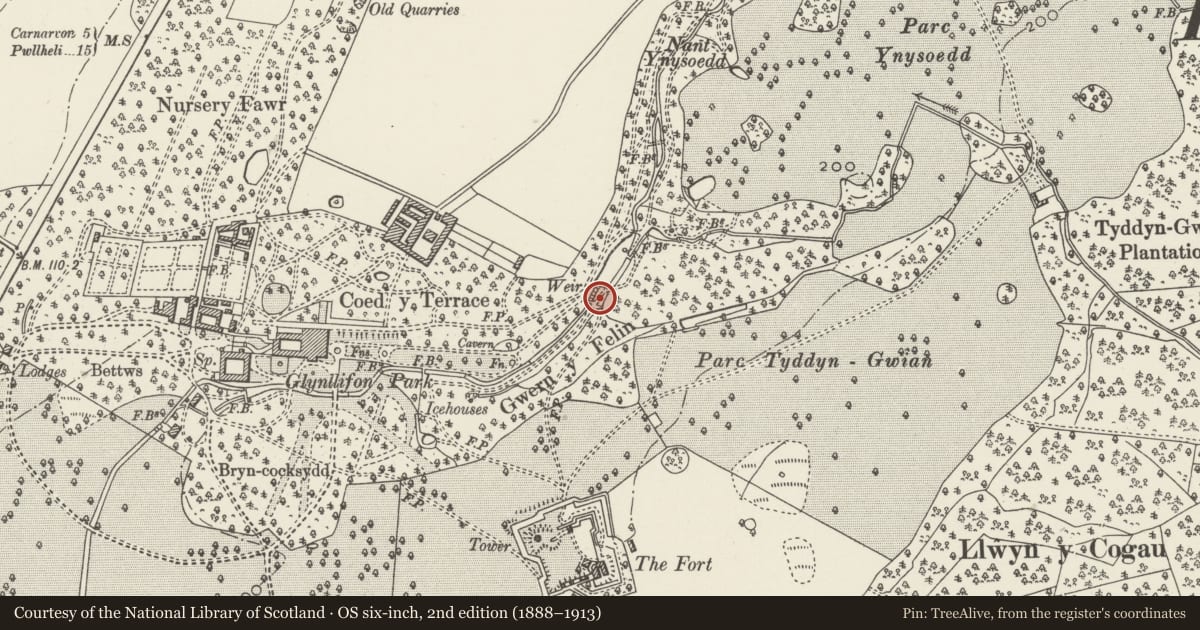Ordnance Survey six-inch map, 2nd edition (1888–1913) covering the location of Stone Footbridge to north-east of the Fountain at the end of the vista, Llandwrog, Gwynedd, with a pin at the register's coordinates