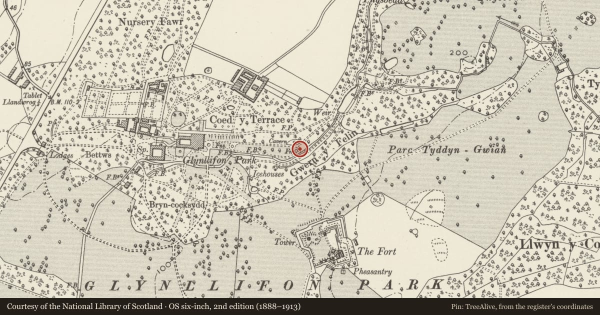 Ordnance Survey six-inch map, 2nd edition (1888–1913) covering the location of Fountain at end of east vista, Llandwrog, Gwynedd, with a pin at the register's coordinates