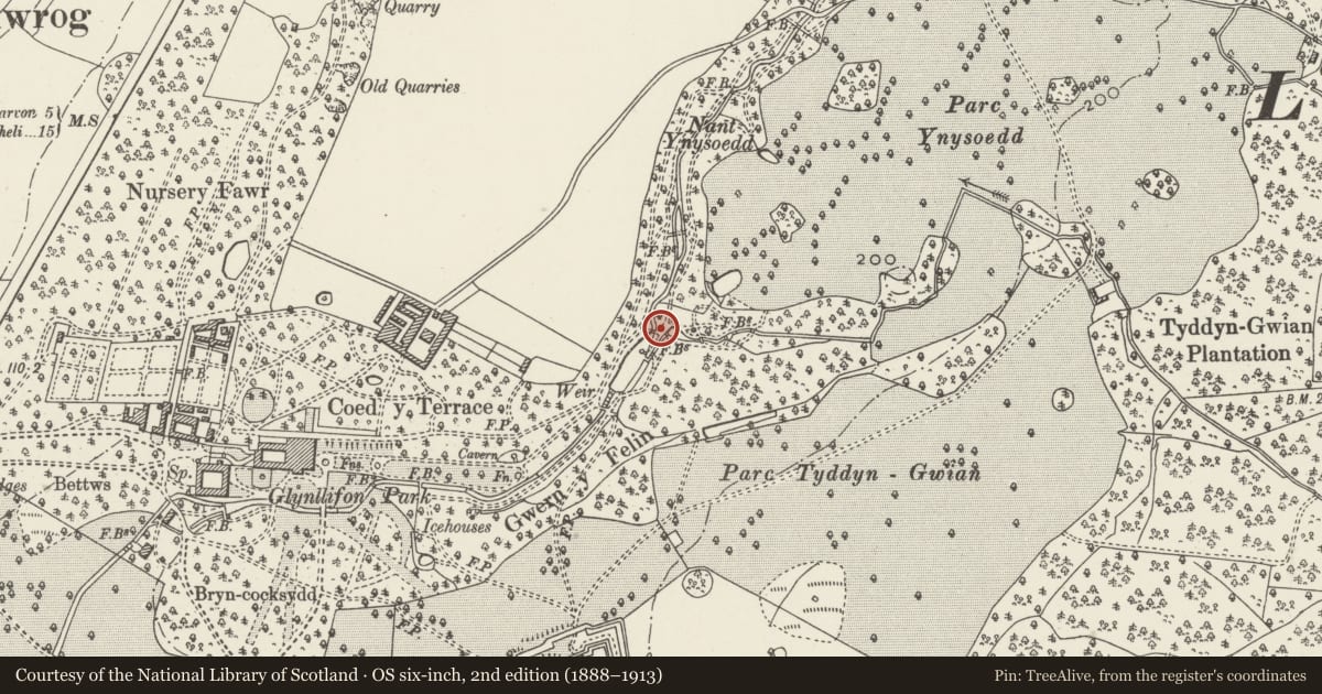 Ordnance Survey six-inch map, 2nd edition (1888–1913) covering the location of Iron Footbridge over Afon Llifon, Llandwrog, Gwynedd, with a pin at the register's coordinates