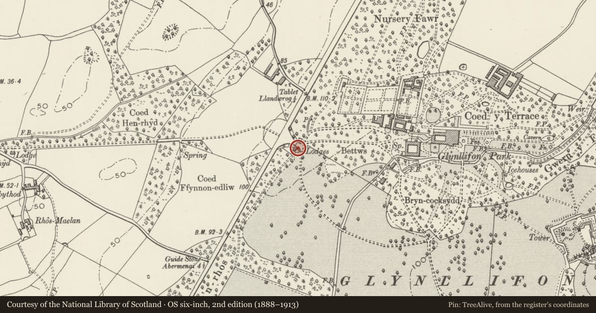 Ordnance Survey six-inch map, 2nd edition (1888–1913) covering the location of Grand Lodge including Archway at main entrance to Glynllifon, Llandwrog, Gwynedd, with a pin at the register's coordinates