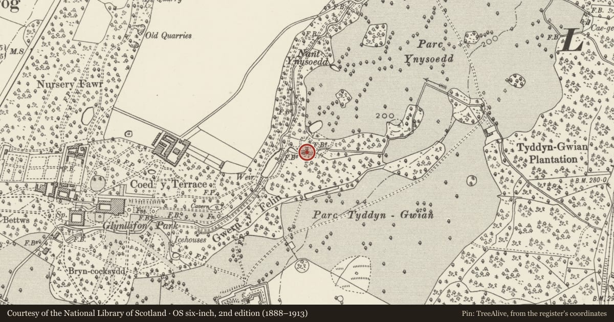 Ordnance Survey six-inch map, 2nd edition (1888–1913) covering the location of Rubble Footbridge below the Hermitage, Llandwrog, Gwynedd, with a pin at the register's coordinates