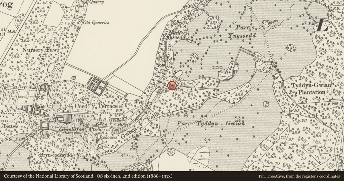 Ordnance Survey six-inch map, 2nd edition (1888–1913) covering the location of Hermitage, Llandwrog, Gwynedd, with a pin at the register's coordinates