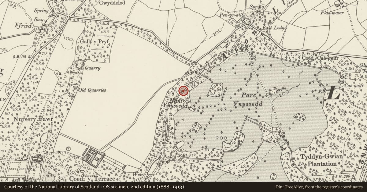Ordnance Survey six-inch map, 2nd edition (1888–1913) covering the location of Iron Footbridge approximately 150m south-west of the high bridge over the East Drive, Llandwrog, Gwynedd, with a pin at the register's coordinates