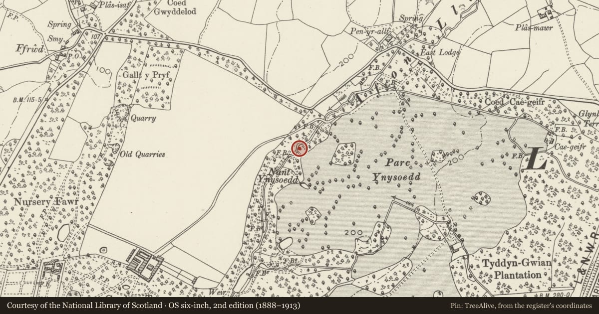 Ordnance Survey six-inch map, 2nd edition (1888–1913) covering the location of Stone Bridge carrying East Drive over Afon Llifon immediately north of one of the iron footbridges, Llandwrog, Gwynedd, with a pin at the register's coordinates