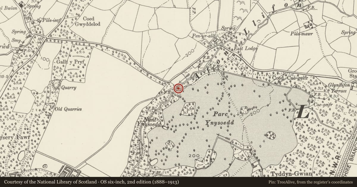 Ordnance Survey six-inch map, 2nd edition (1888–1913) covering the location of High Bridge carrying road over East Drive and Afon Llifon, Llandwrog, Gwynedd, with a pin at the register's coordinates