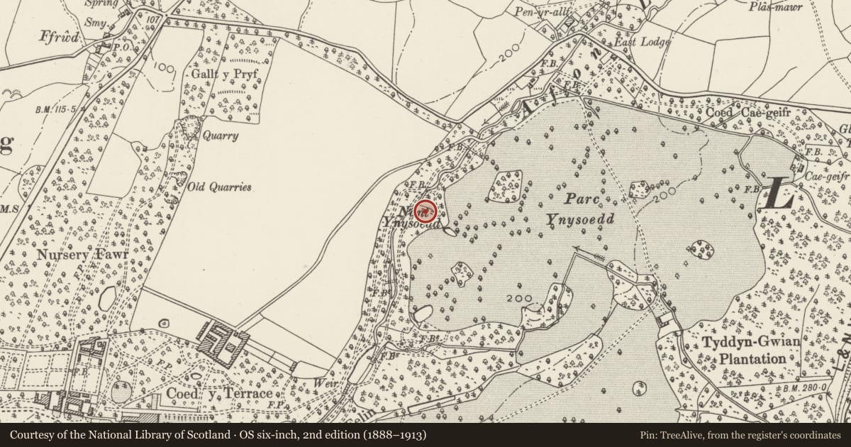 Ordnance Survey six-inch map, 2nd edition (1888–1913) covering the location of Cave on south-east side of Afon Llifon approximately 190m south-west of the bridge over East Drive, Llandwrog, Gwynedd, with a pin at the register's coordinates