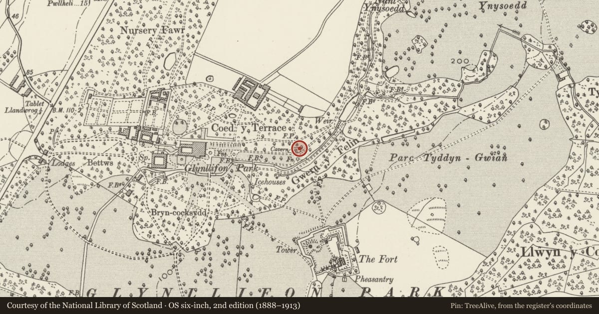 Ordnance Survey six-inch map, 2nd edition (1888–1913) covering the location of Eastern Cavern north of the path near main east vista fountain, Llandwrog, Gwynedd, with a pin at the register's coordinates