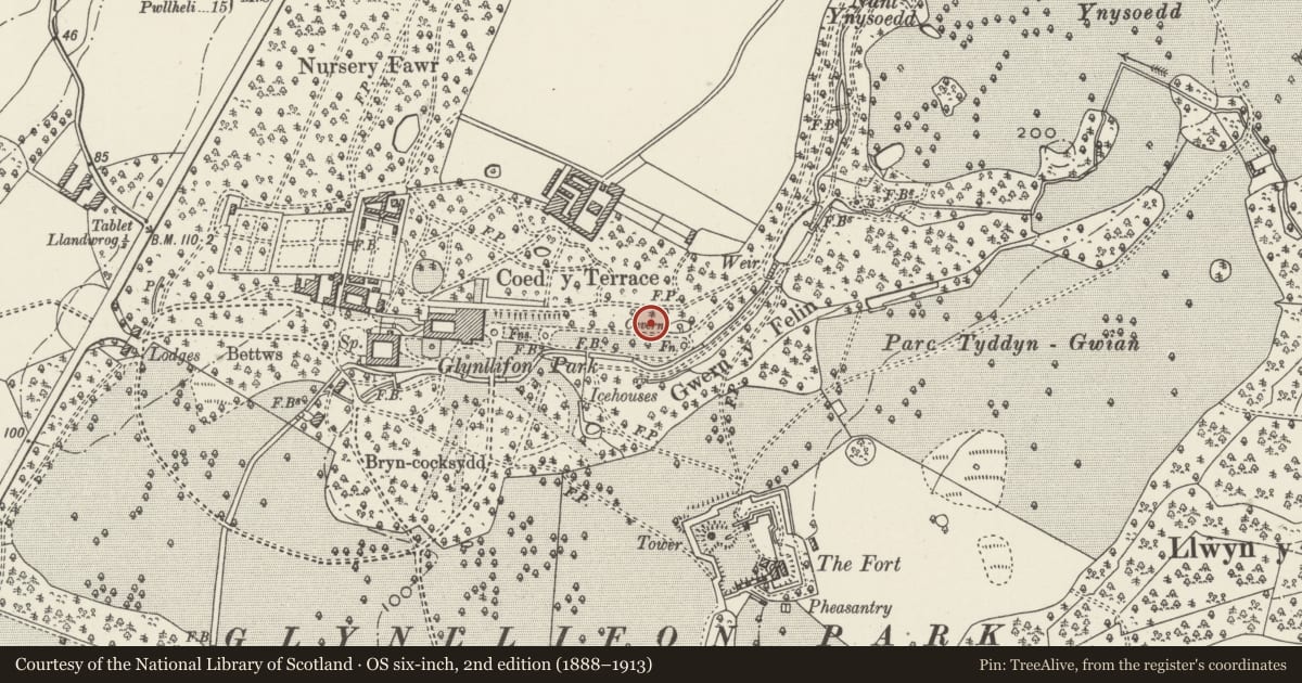 Ordnance Survey six-inch map, 2nd edition (1888–1913) covering the location of Western Cavern north of the path near main east vista fountain, Llandwrog, Gwynedd, with a pin at the register's coordinates