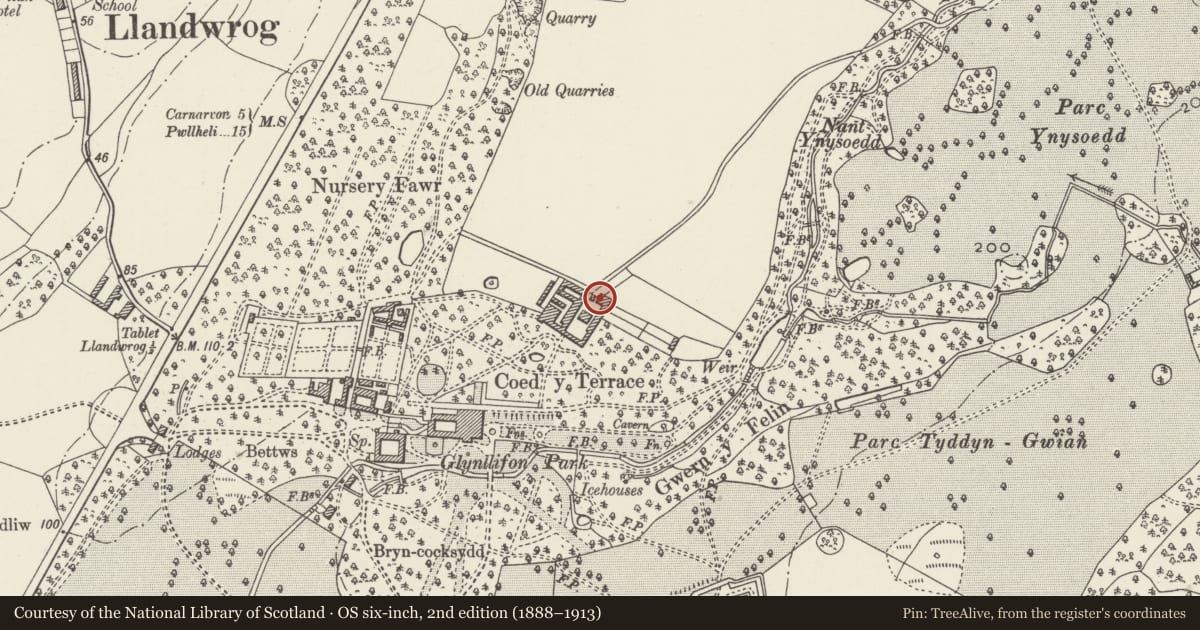 Ordnance Survey six-inch map, 2nd edition (1888–1913) covering the location of Former Farm Office at Glynllifon College Farm, Llandwrog, Gwynedd, with a pin at the register's coordinates