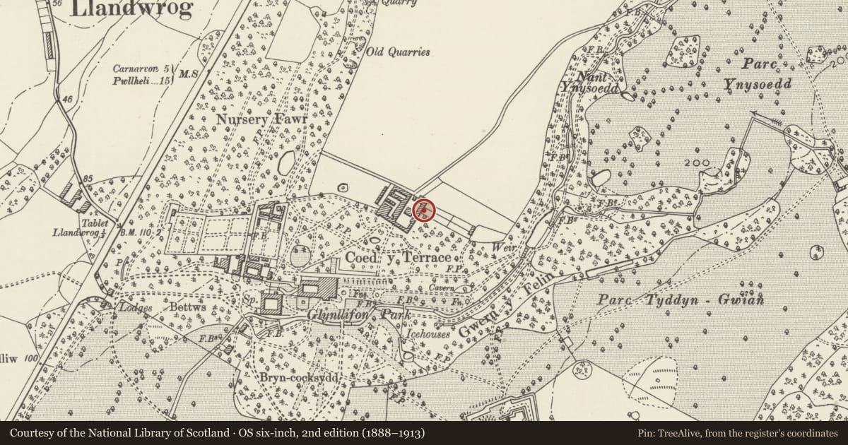 Ordnance Survey six-inch map, 2nd edition (1888–1913) covering the location of Cartsheds and attached range on south-east side of upper farmyard at Glynllifon College Farm, Llandwrog, Gwynedd, with a pin at the register's coordinates