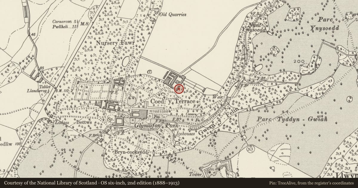 Ordnance Survey six-inch map, 2nd edition (1888–1913) covering the location of Dovecote and attached range to left at south-east corner of farmyards at Glynllifon College Farm, Llandwrog, Gwynedd, with a pin at the register's coordinates
