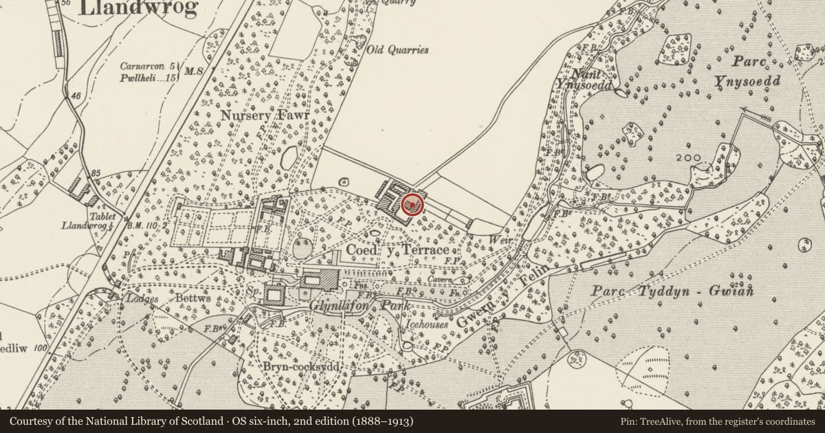 Ordnance Survey six-inch map, 2nd edition (1888–1913) covering the location of Pair of Hay-barns in centre of upper farmyard at Glynllifon College Farm, Llandwrog, Gwynedd, with a pin at the register's coordinates