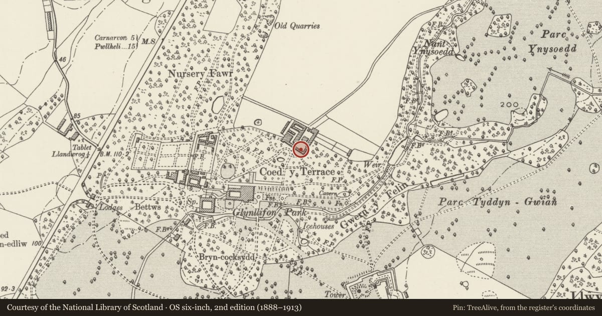 Ordnance Survey six-inch map, 2nd edition (1888–1913) covering the location of Former Cowhouse to south-west side of upper farmyard at Glynllifon College Farm, Llandwrog, Gwynedd, with a pin at the register's coordinates