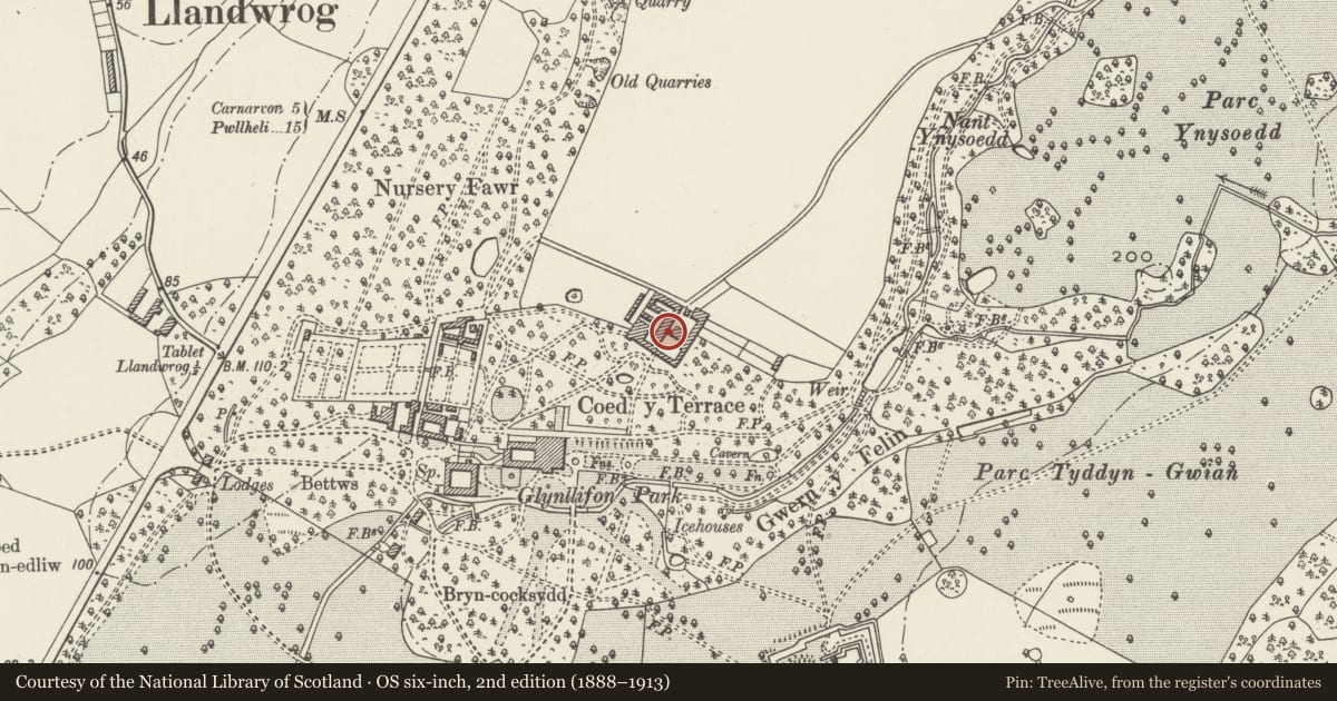 Ordnance Survey six-inch map, 2nd edition (1888–1913) covering the location of Tall Barn between upper and lower farmyards at Glynllifon College Farm, Llandwrog, Gwynedd, with a pin at the register's coordinates