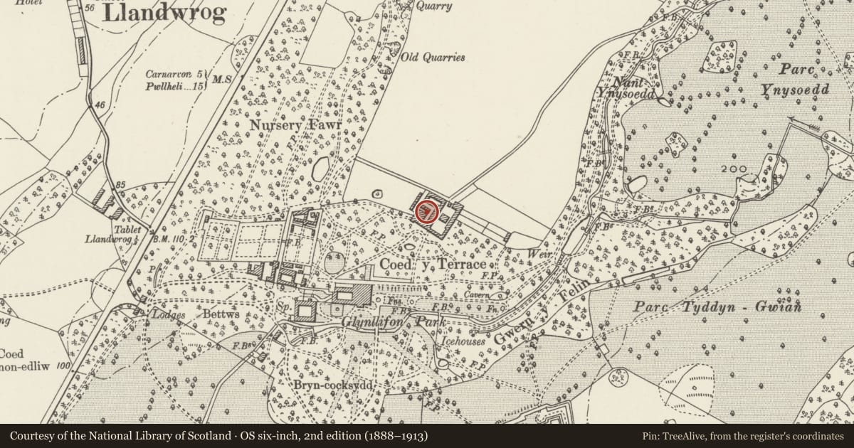 Ordnance Survey six-inch map, 2nd edition (1888–1913) covering the location of Parallel Farm Ranges and linking arched entrance into lower farmyard at Glynllifon College Farm, Llandwrog, Gwynedd, with a pin at the register's coordinates