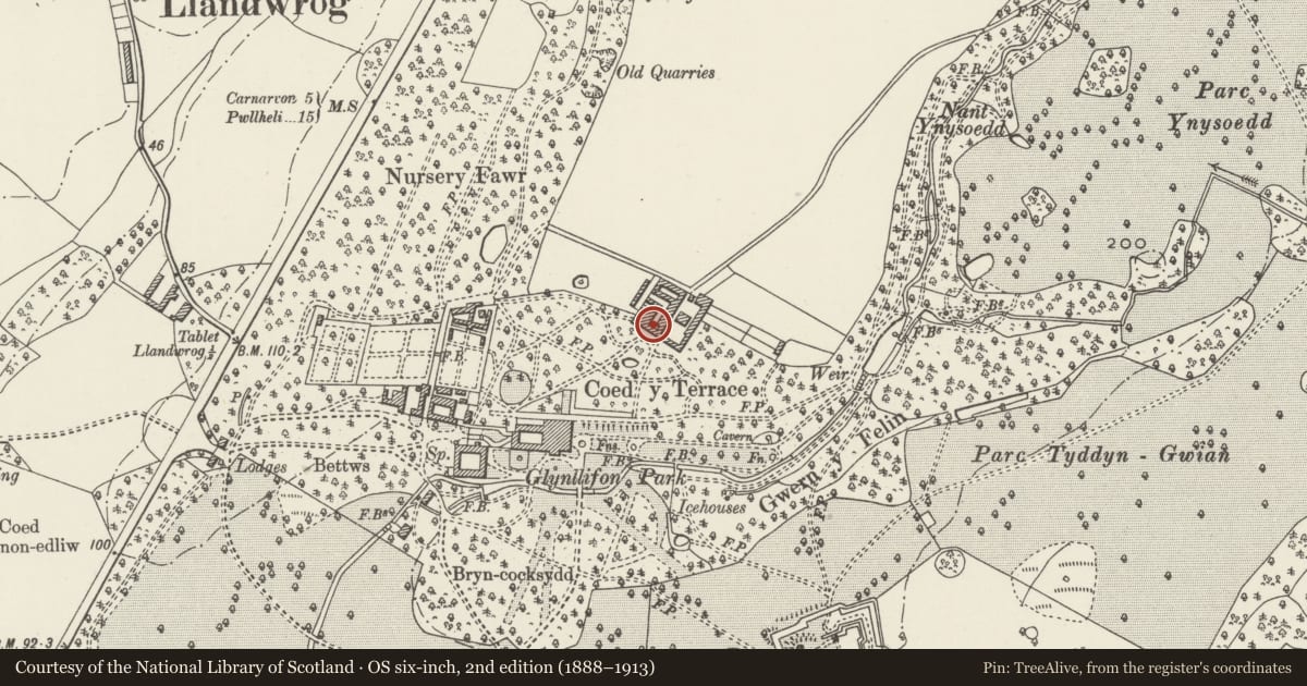 Ordnance Survey six-inch map, 2nd edition (1888–1913) covering the location of L-shaped Range of farm buildings, including walled enclosure to south, at Glynllifon College Farm, Llandwrog, Gwynedd, with a pin at the register's coordinates