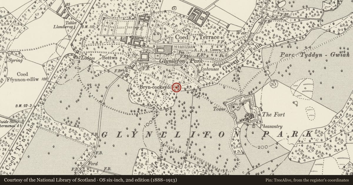 Ordnance Survey six-inch map, 2nd edition (1888–1913) covering the location of Cromlech, Llandwrog, Gwynedd, with a pin at the register's coordinates