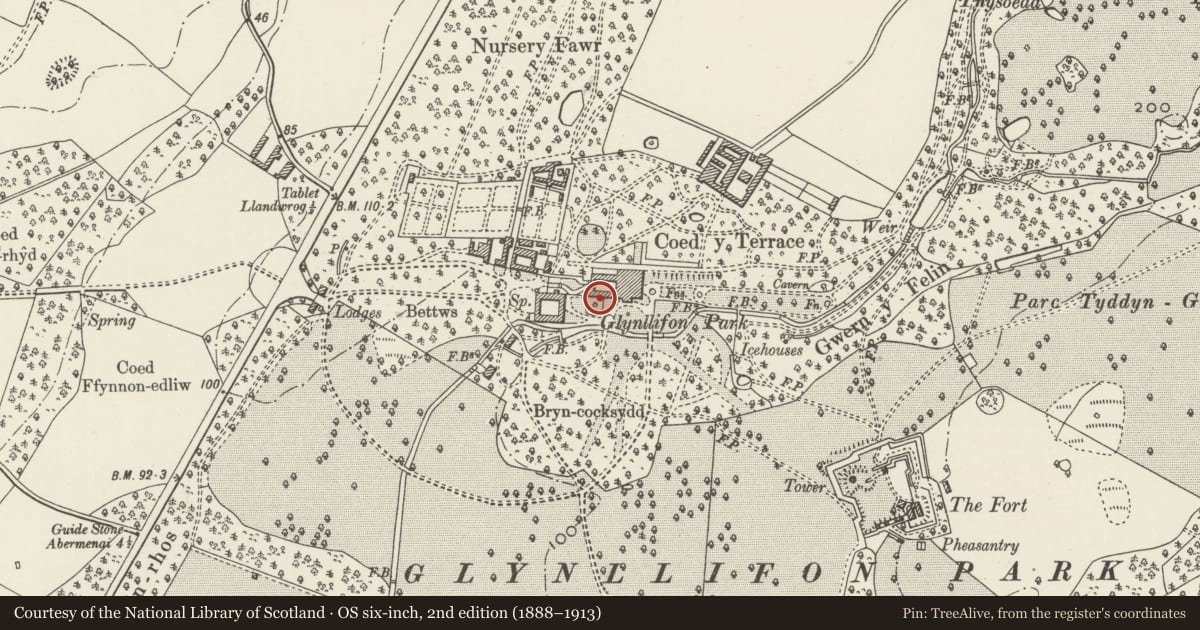 Ordnance Survey six-inch map, 2nd edition (1888–1913) covering the location of Fountain near south-west corner of Glynllifon House, Llandwrog, Gwynedd, with a pin at the register's coordinates