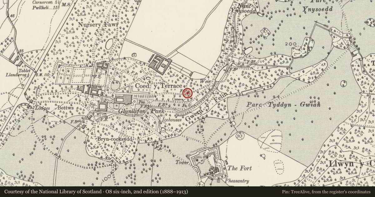 Ordnance Survey six-inch map, 2nd edition (1888–1913) covering the location of Ionic Column on former East Drive, Llandwrog, Gwynedd, with a pin at the register's coordinates