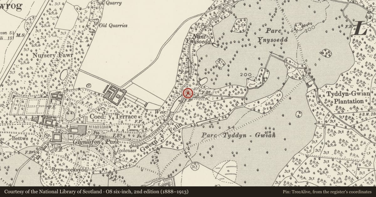 Ordnance Survey six-inch map, 2nd edition (1888–1913) covering the location of Pair of Stone Bridges beside Iron Bridge and below Hermitage, Llandwrog, Gwynedd, with a pin at the register's coordinates