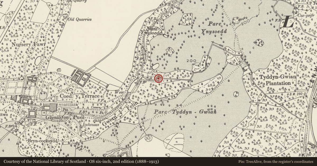 Ordnance Survey six-inch map, 2nd edition (1888–1913) covering the location of Rubble Footbridge uphill from Hermitage, Llandwrog, Gwynedd, with a pin at the register's coordinates