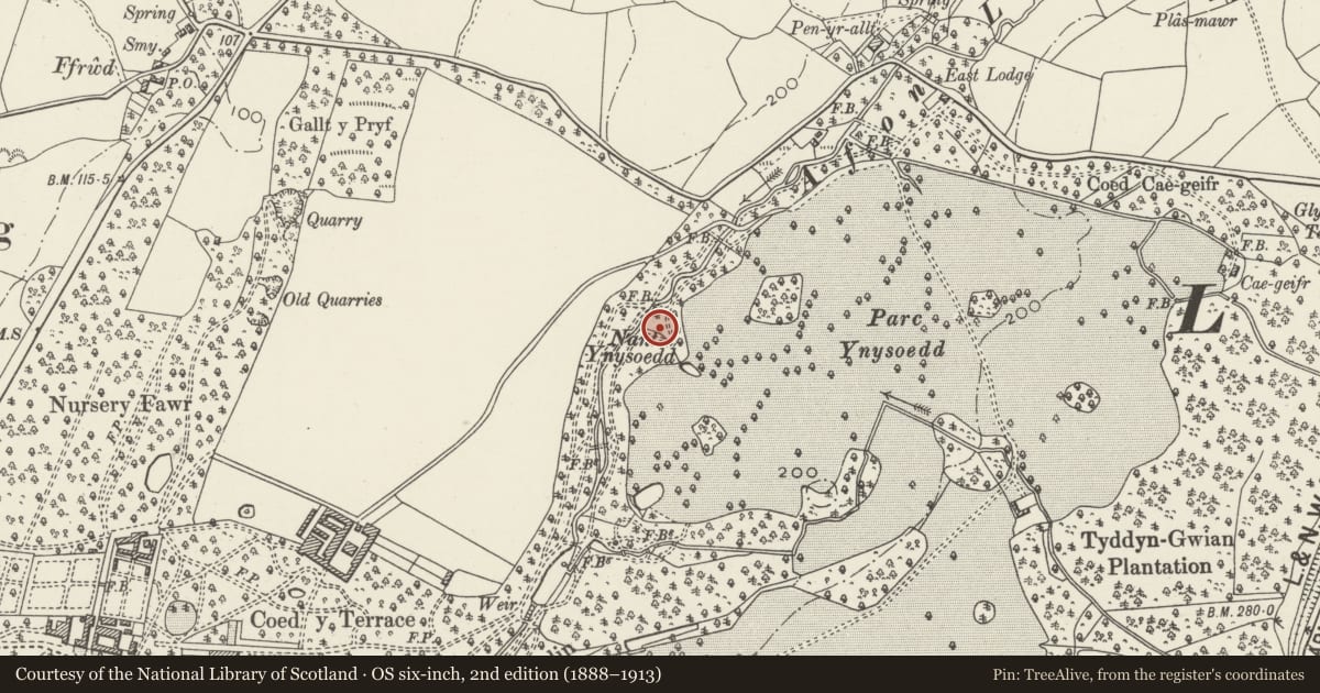 Ordnance Survey six-inch map, 2nd edition (1888–1913) covering the location of Rubble Footbridge between Iron footbridge and Cave, Llandwrog, Gwynedd, with a pin at the register's coordinates