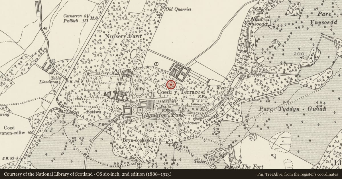 Ordnance Survey six-inch map, 2nd edition (1888–1913) covering the location of Fountain pool including iron pipe in Coed y Terrace wood south-west of the Farm, Llandwrog, Gwynedd, with a pin at the register's coordinates