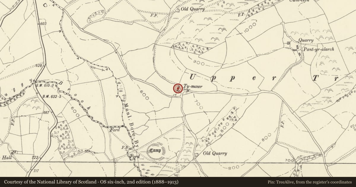 Ordnance Survey six-inch map, 2nd edition (1888–1913) covering the location of Ty Mawr, Castle Caereinion, Powys, with a pin at the register's coordinates