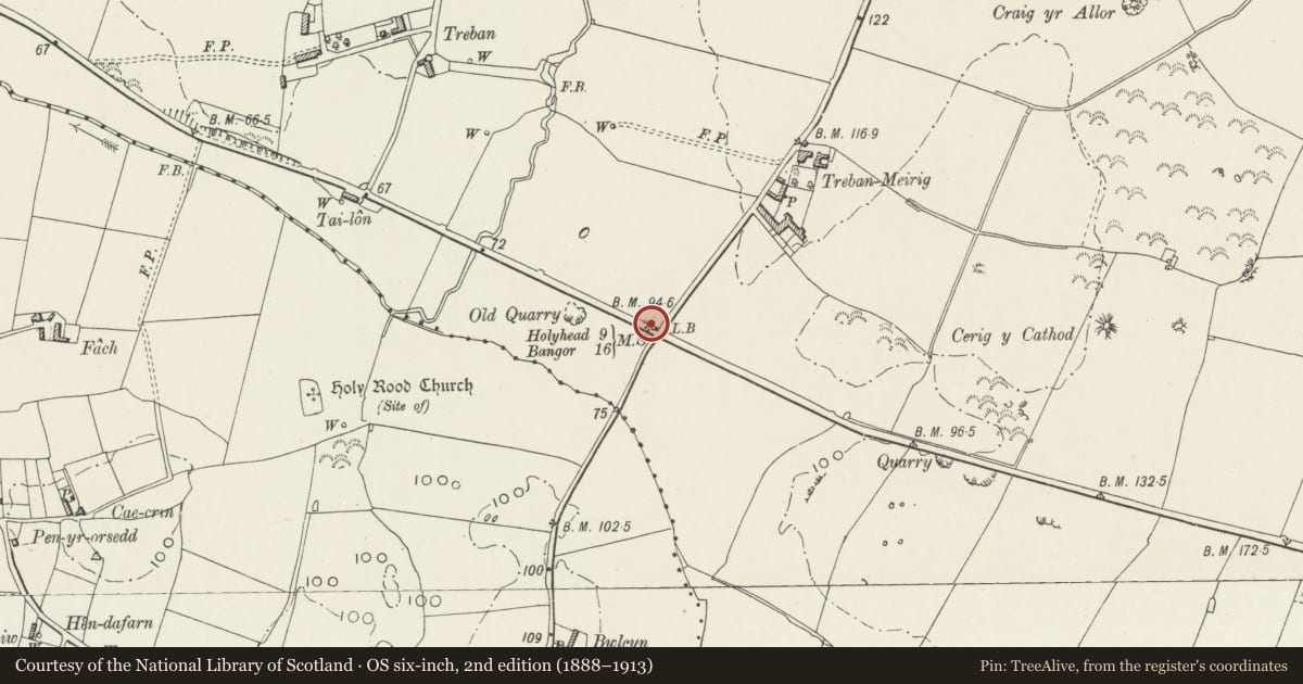 Ordnance Survey six-inch map, 2nd edition (1888–1913) covering the location of Telford Milestone (9) at Engedi crossroads, Bryngwran, Isle of Anglesey, with a pin at the register's coordinates