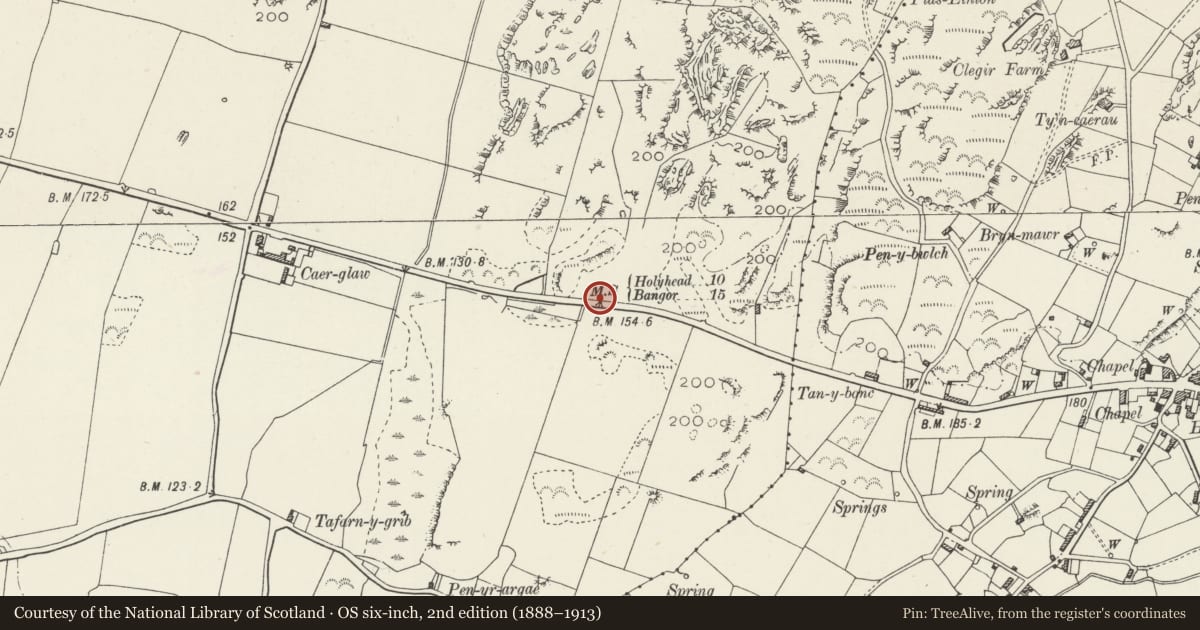 Ordnance Survey six-inch map, 2nd edition (1888–1913) covering the location of Telford Milestone (10), west of Gwalchmai, Bryngwran, Isle of Anglesey, with a pin at the register's coordinates