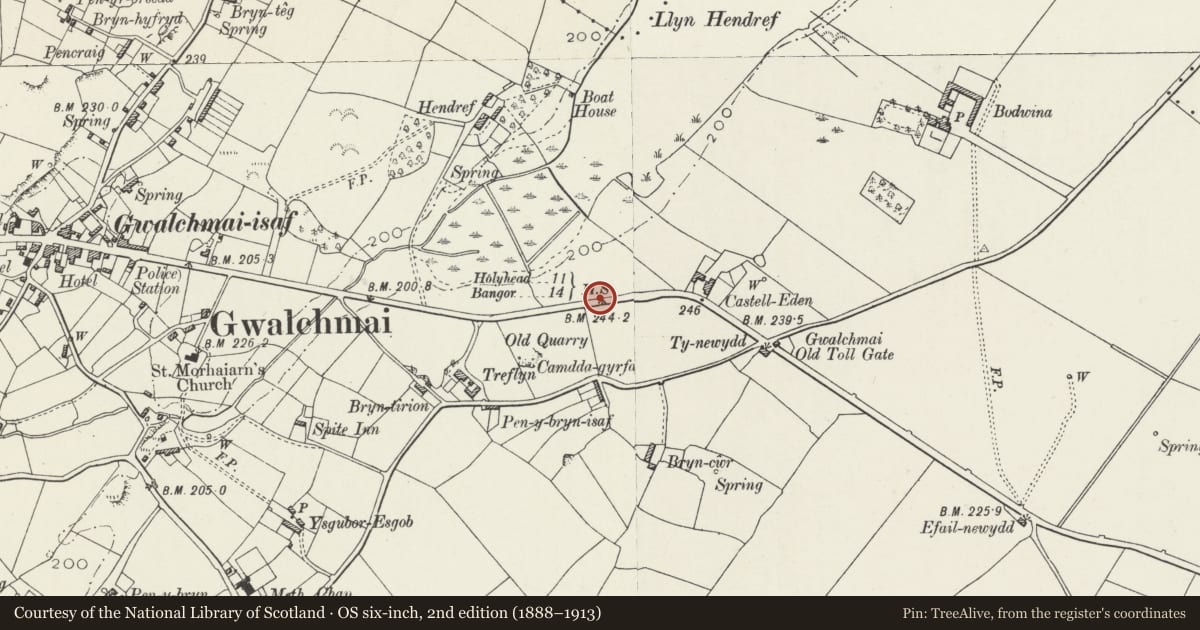 Ordnance Survey six-inch map, 2nd edition (1888–1913) covering the location of Telford Milestone (11), Trewalchmai, Isle of Anglesey, with a pin at the register's coordinates