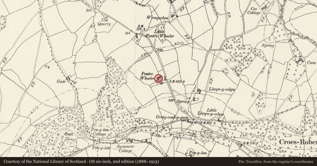 Ordnance Survey six-inch map, 2nd edition (1888–1913) covering the location of Pentre Wheeler Farmhouse, Mitchel Troy, Monmouthshire, with a pin at the register's coordinates