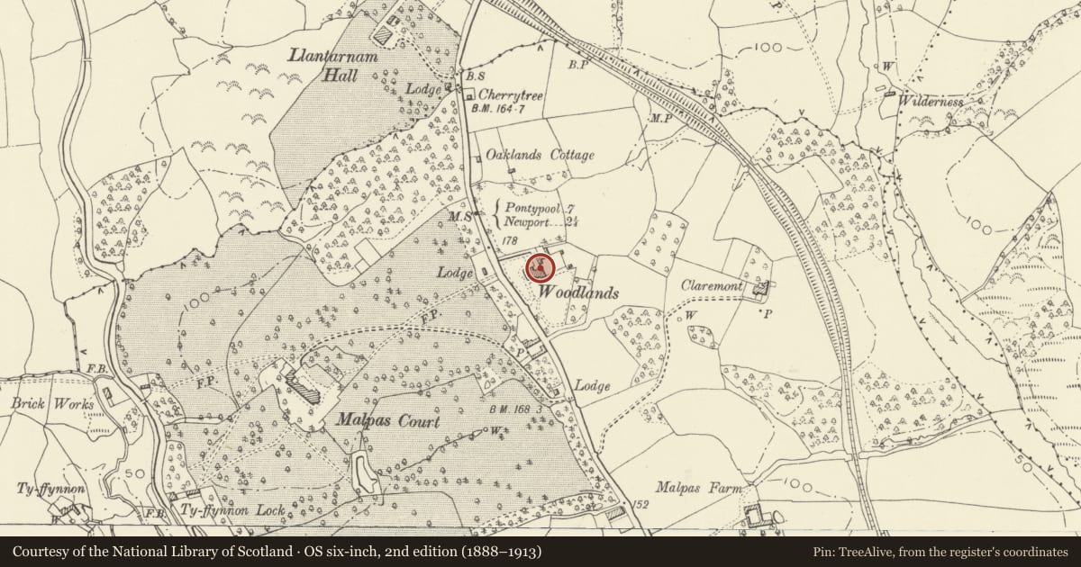 Ordnance Survey six-inch map, 2nd edition (1888–1913) covering the location of Woodlands House, Malpas, Newport, with a pin at the register's coordinates